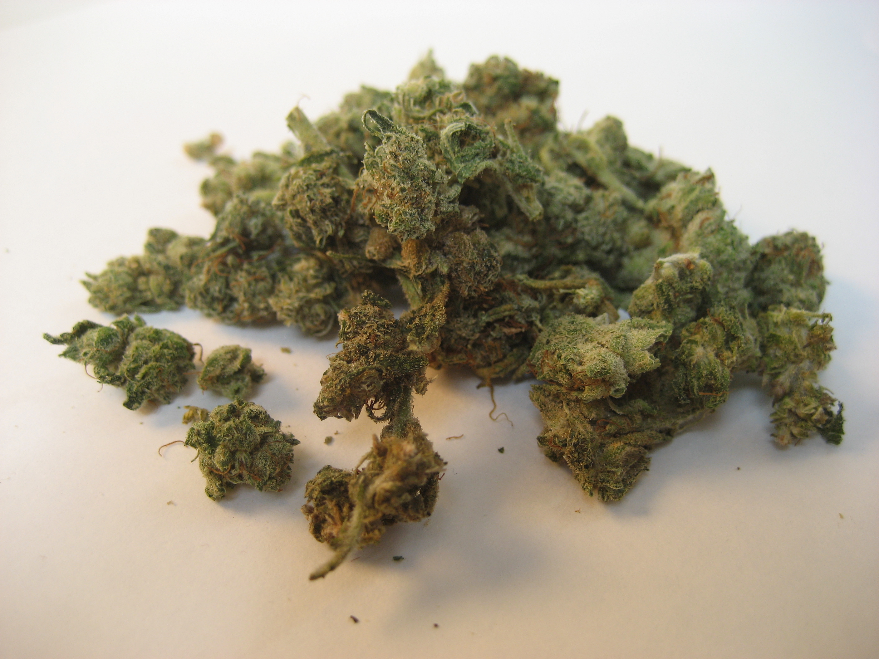 Jack Herer