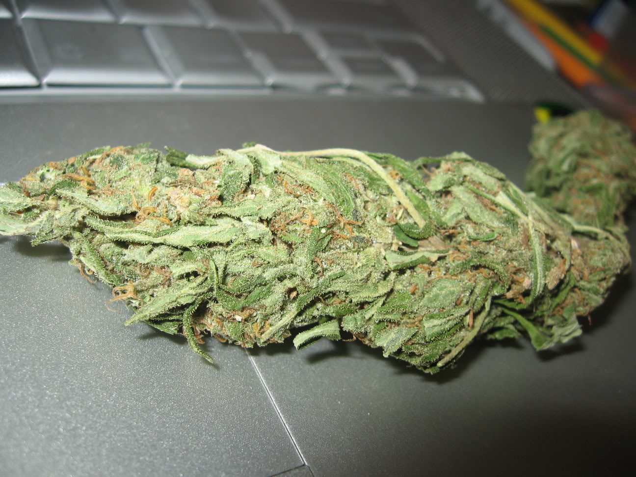 Skunk #2 x Northern Lights