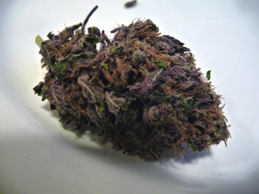 Black Magic Kush
