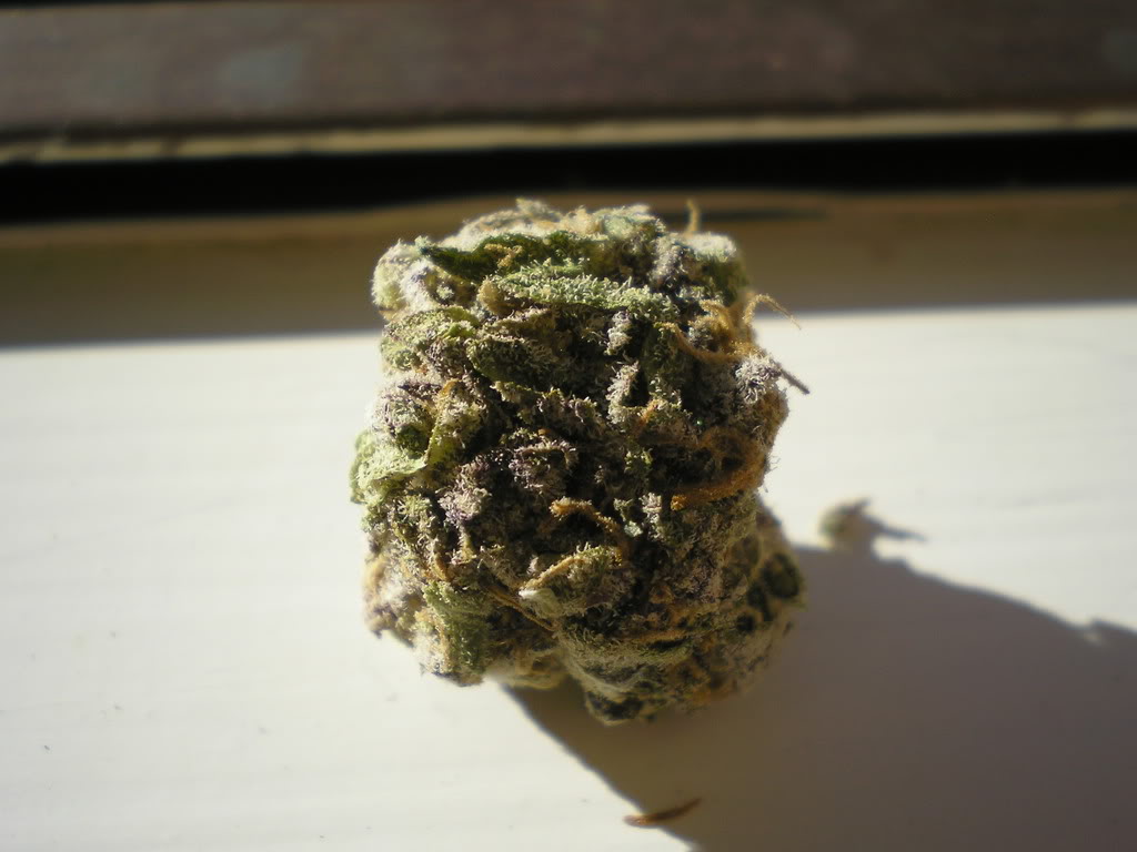 Grandaddy Purp