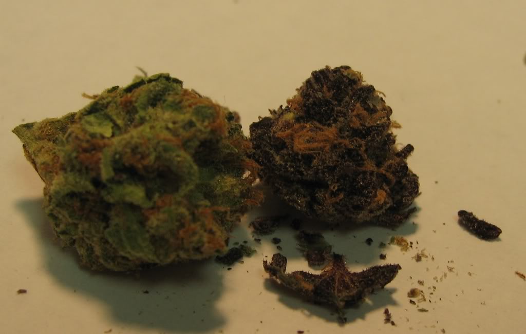 Silver Surfer x Purple Urkel