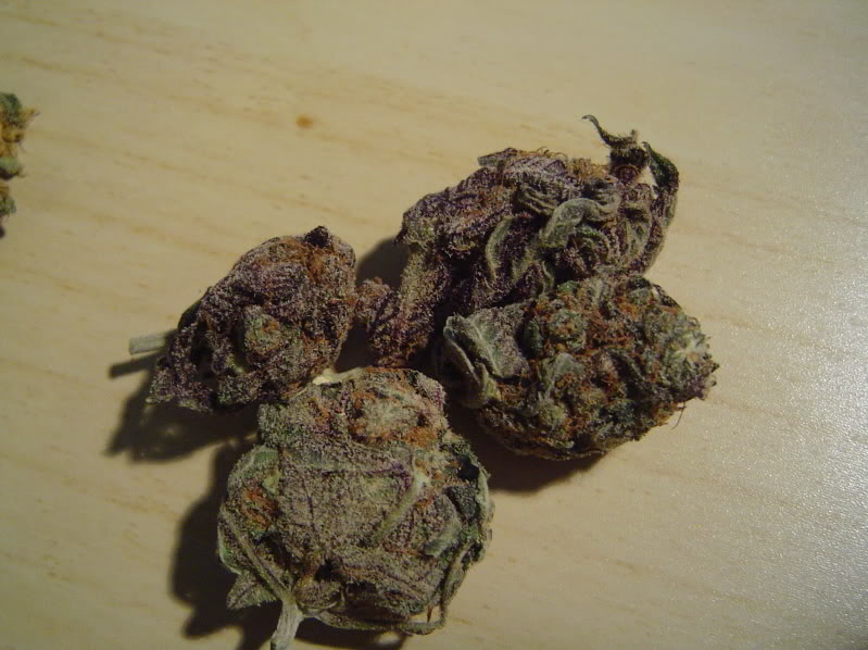Grandaddy Purp