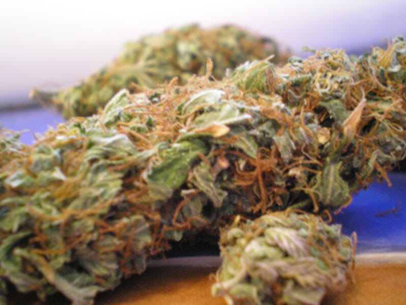 Jack Herer